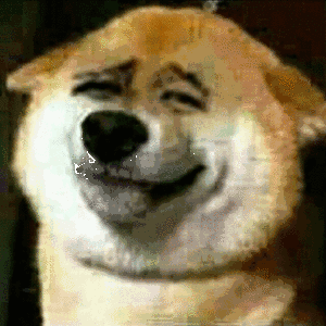 ��������222  